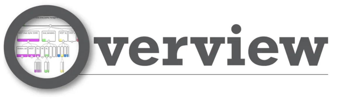 overview logo